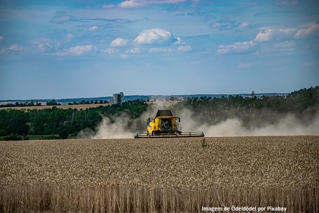 Valor da Produção Agropecuária de 2021 é estimado em R$ 1,099 trilhão