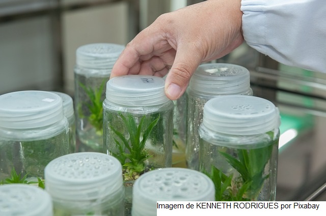 Fórum Brasil-China destaca biotecnologia para garantir a sustentabilidade