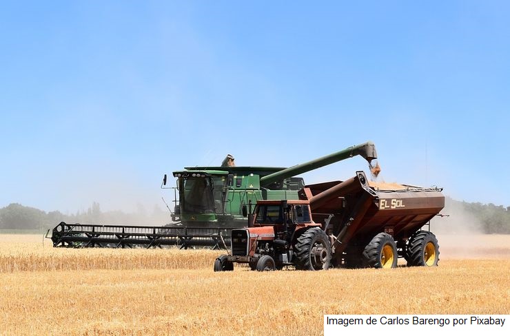 Valor da produção agropecuária de 2022 está estimado em R$ 1,207 trilhão