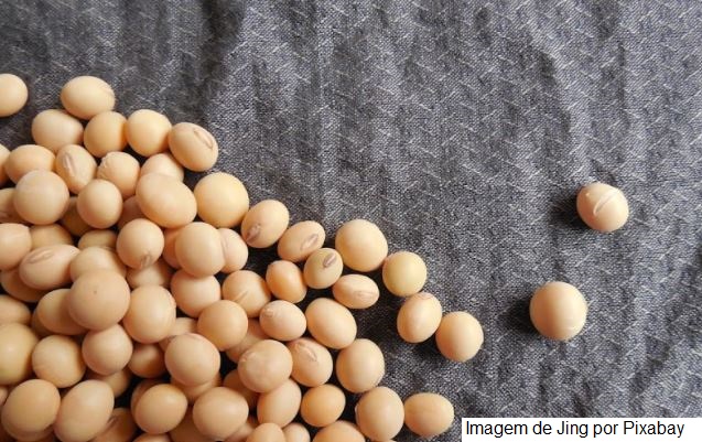USDA informa vendas novas de soja pelo 11º dia e maior parte tem destino China