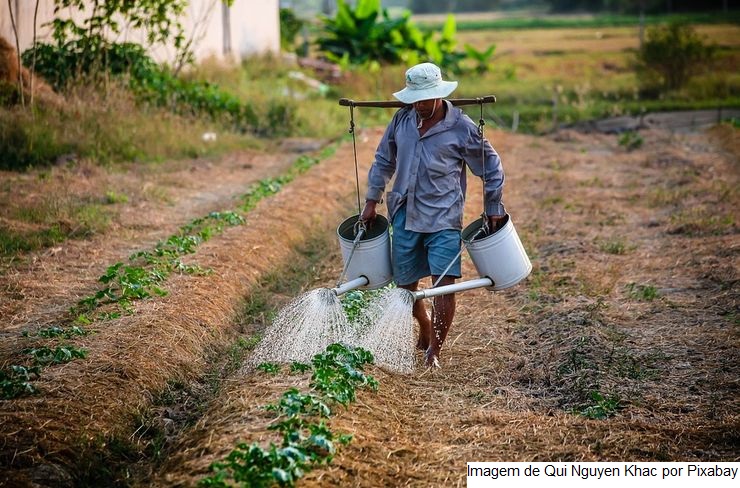 Comissão de Agricultura vai discutir ampliação do Pronater