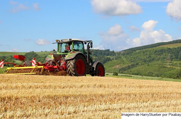 Boletim agropecuário analisa impacto do reajuste do trigo no preço do pão francês
