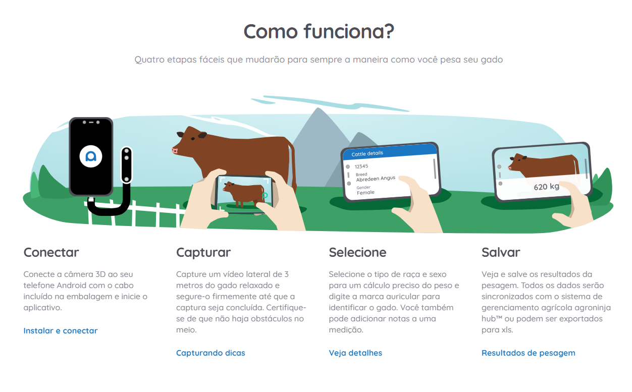 App permite pesar o gado pelo celular e com apenas uma foto; Vídeo