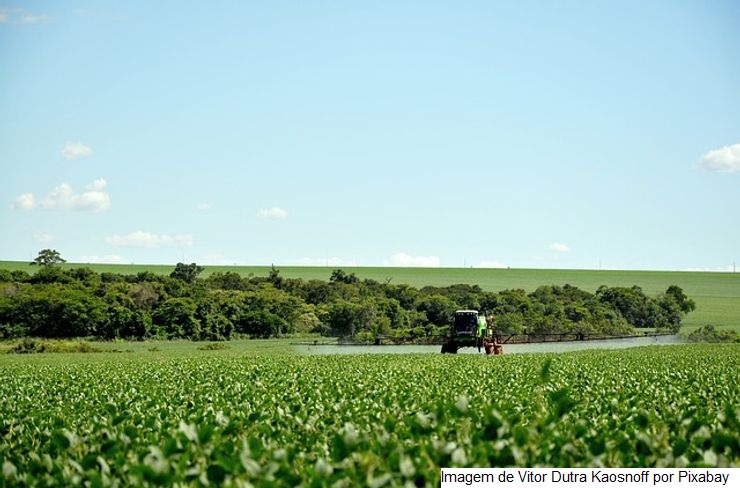 Portaria regulamenta critérios para priorizar análise de registros de agrotóxicos
