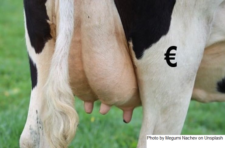 Espanha– 2023 encerrou com entregas estáveis em relação a 2022 e um preço médio de € 0,52/litro