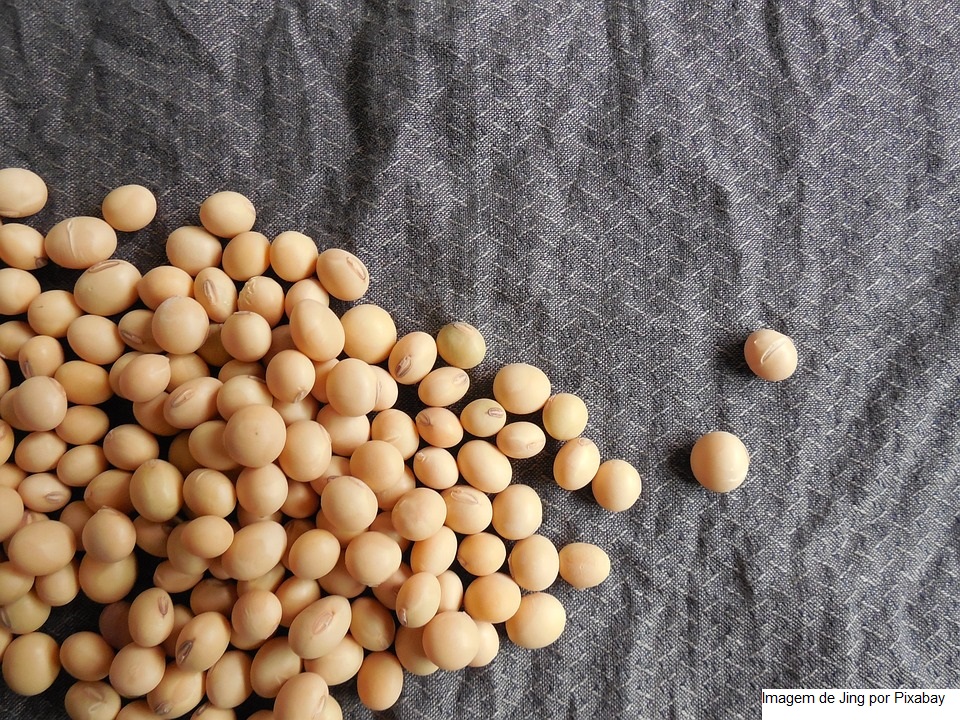 SOJA/CEPEA: Exportações do 1º trimestre atingem recorde para o período