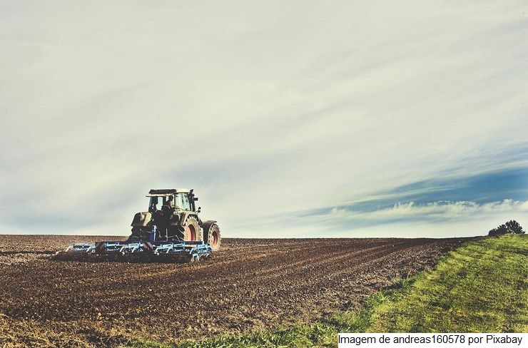 Leilões para contratação de frete para cesta de alimentos e compra de capas de fardo serão realizados na sexta-feira (8)