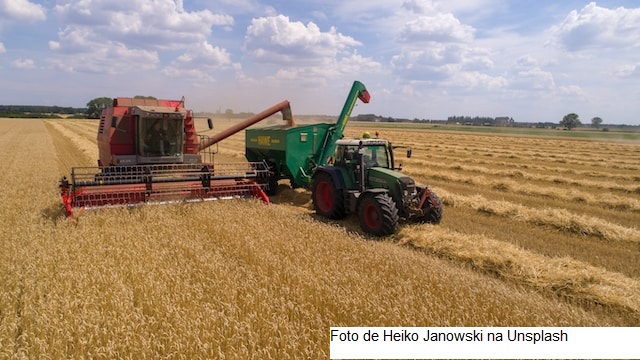 USDA reduz índice de lavouras de soja em boas/excelentes condições, mas mantém no milho