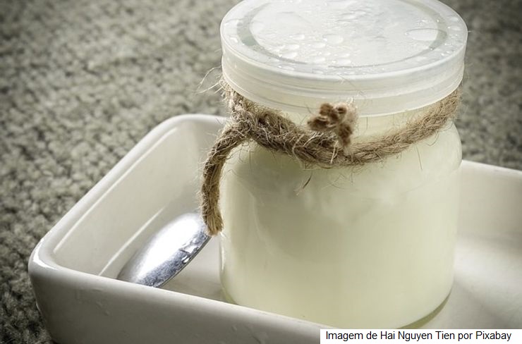 Alunas e professores do ILCT-EPAMIG produzem “iogurte mexicano” temperado com ervas finas