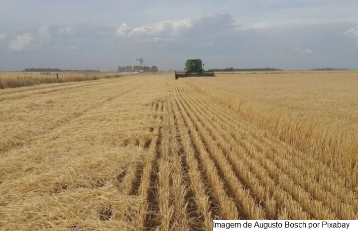 Preços Agropecuários Sobem 0,62% em Setembro de 2021 no Estado de São Paulo e Acumulado de 12 meses Atinge 49,46%