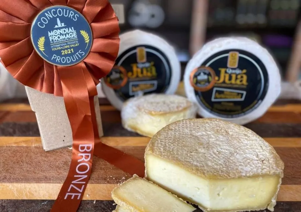 Dia Mundial do Queijo: conheça queijos mineiros premiados internacionalmente
