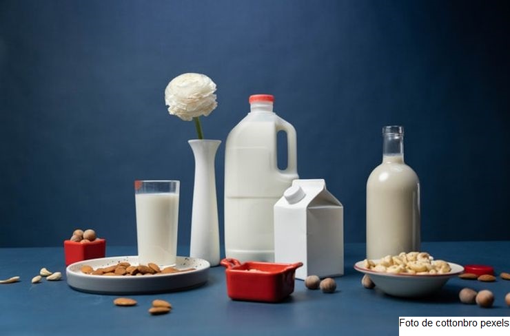 O paradoxo da substituição da proteína animal pela proteína vegetal