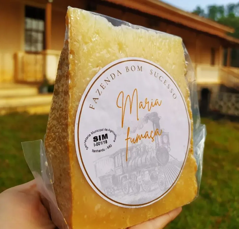 Dia Mundial do Queijo: conheça queijos mineiros premiados internacionalmente