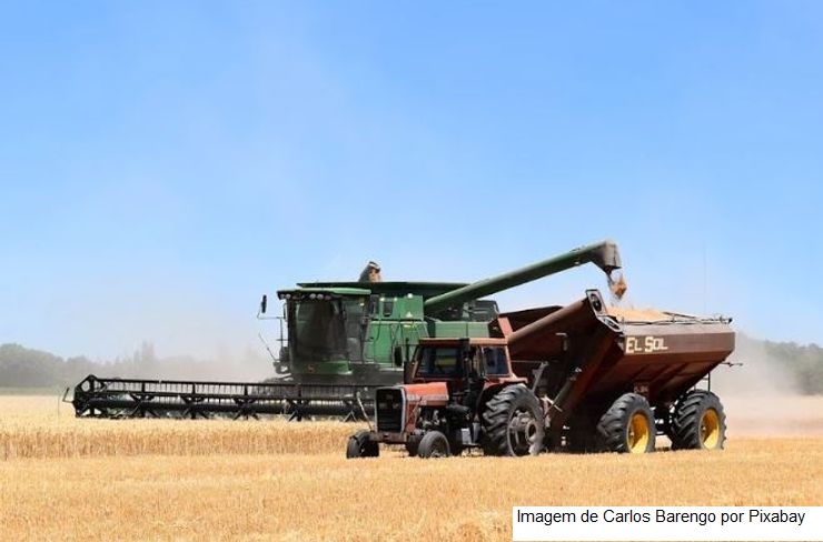 MERCADO DE TRABALHO/CEPEA: População ocupada no agro cresce no 1º tri e recupera perdas geradas pela COVID-19
