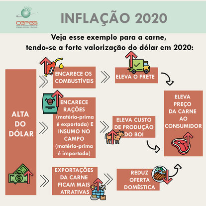 MACRO/CEPEA: A inflação dos alimentos e seus gatilhos em 2020