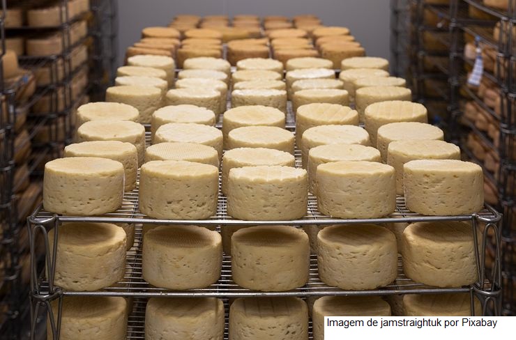 Resgate da produção queijeira da região entre serras da Piedade ao Caraça é tema de seminário promovido pela EMATER-MG