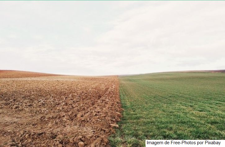 Guia traz orientações para solicitar o reconhecimento internacional como Sistema Importante do Patrimônio Agrícola Mundial