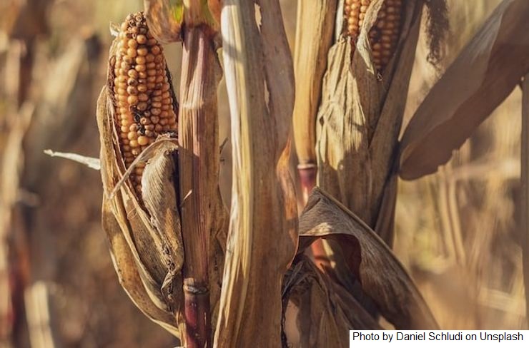 Argentina – A região agrícola argentina será a mais quente do planeta nos próximos dias