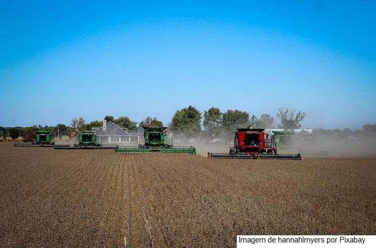 Saiba quais os municípios de Goiás que mais produzem soja