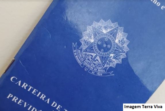 Produção de alimentos gera 151.252 empregos no 1º semestre