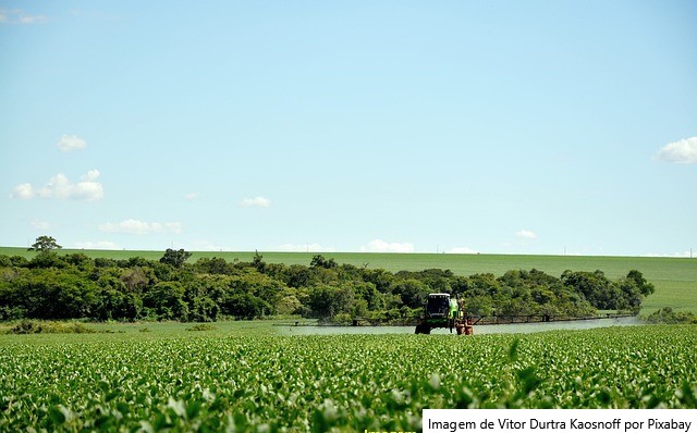 Um recorde no resultado do Valor Bruto de Produção Agropecuária brasileira