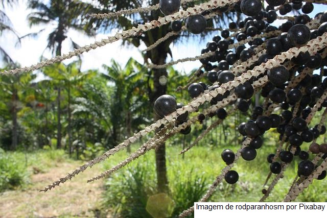 Lista de maio dos produtos com direito a bônus do PGPAF é divulgada