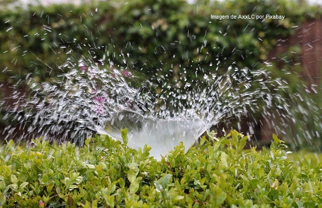 Brasil tem mais água para irrigação do que terra disponível