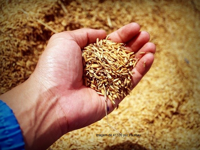 Garantia-Safra autoriza o pagamento de R$ 323,2 milhões para mais de 380 mil agricultores no ciclo da safra 2019/2020