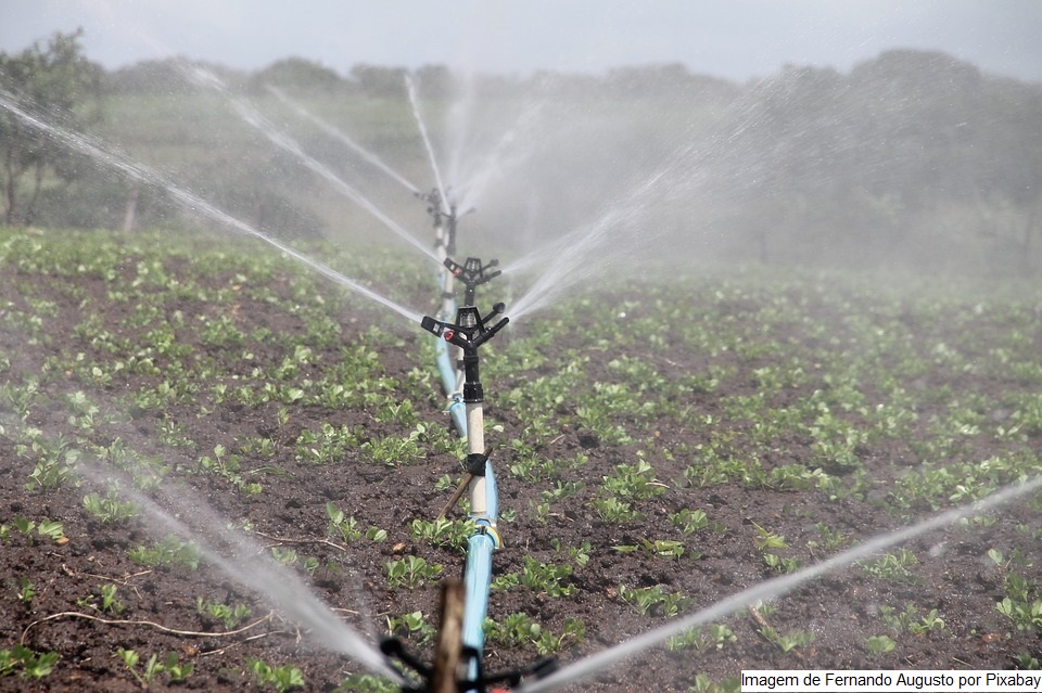 Perímetro irrigado estadual celebra Dia Mundial da Água com comunidade escolar e agricultores