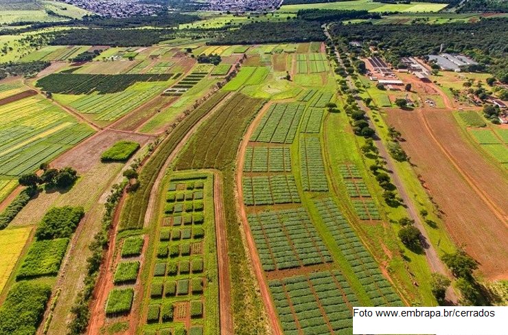 O Brasil visto de fora: Porque o agro brasileiro triunfa?
