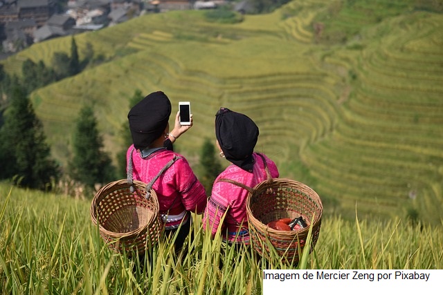 Brasil e China discutem parcerias para uma agricultura ambientalmente responsável