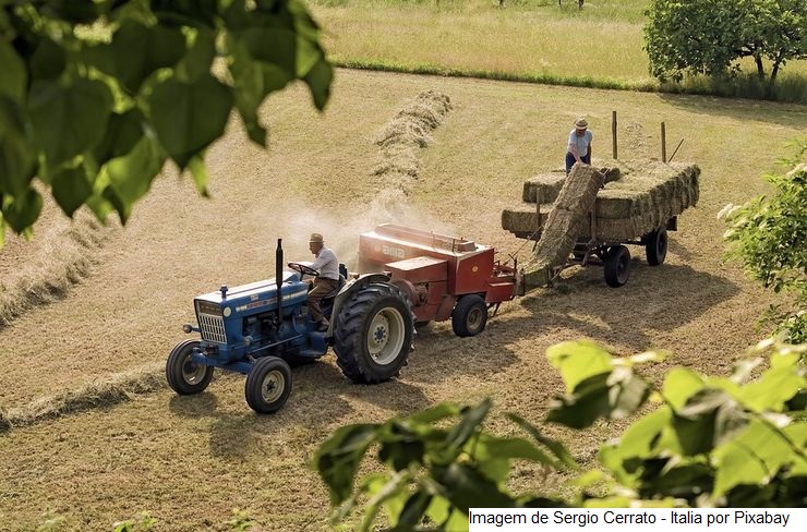 Novo recorde: exportações do agro de Minas atingem US$ 14,2 bilhões, com crescimento de 49% em 2022