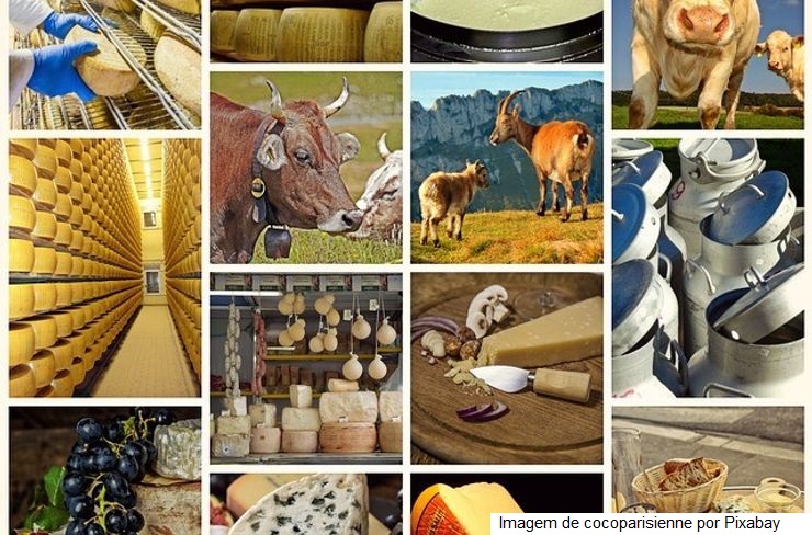 França – A inflação atingiu fortemente os produtos lácteos orgânicos de DOP