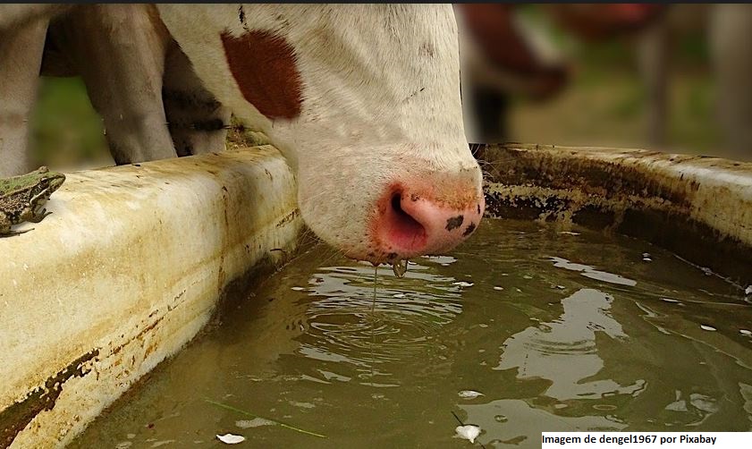 Em situação de emergência, Paraná pode restringir outorga da água à agropecuária
