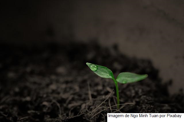 Instrução Normativa define novo método de classificação do solo no Zoneamento Agrícola