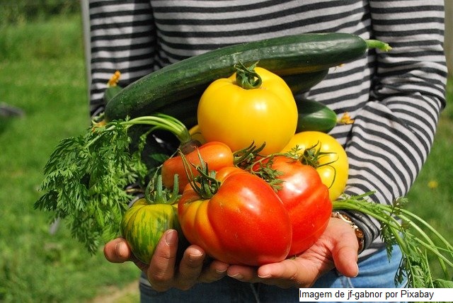 Conab lança boletim com cenários e perspectivas para agricultura familiar