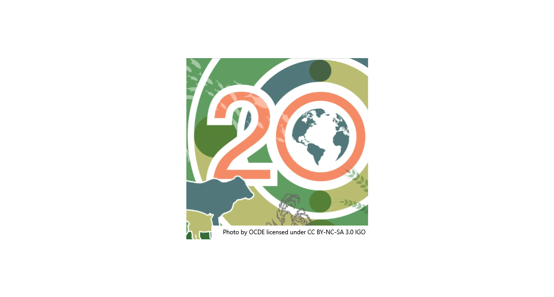Evolução dos mercados agroalimentares