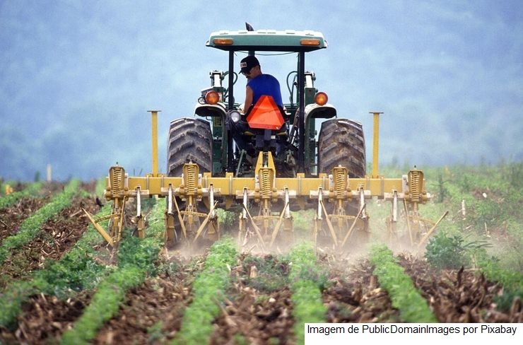 Mercado de trabalho/Cepea: População ocupada no agro no 2º tri é a maior para o período desde 2015
