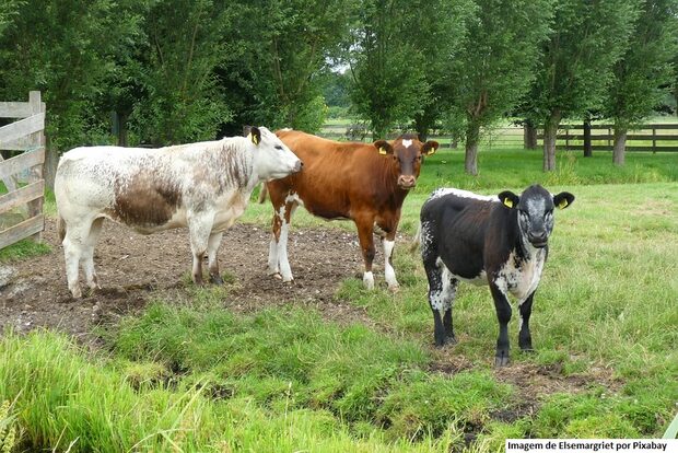 Presidente da COP26 conhece práticas sustentáveis da agricultura brasileira na Embrapa Cerrados