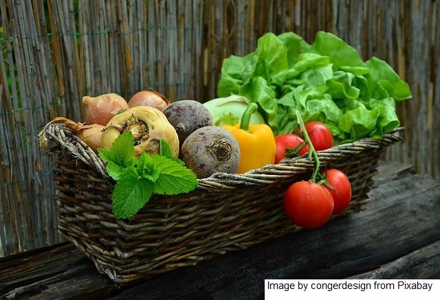 Estudo caracteriza produção e consumo de orgânicos no Brasil