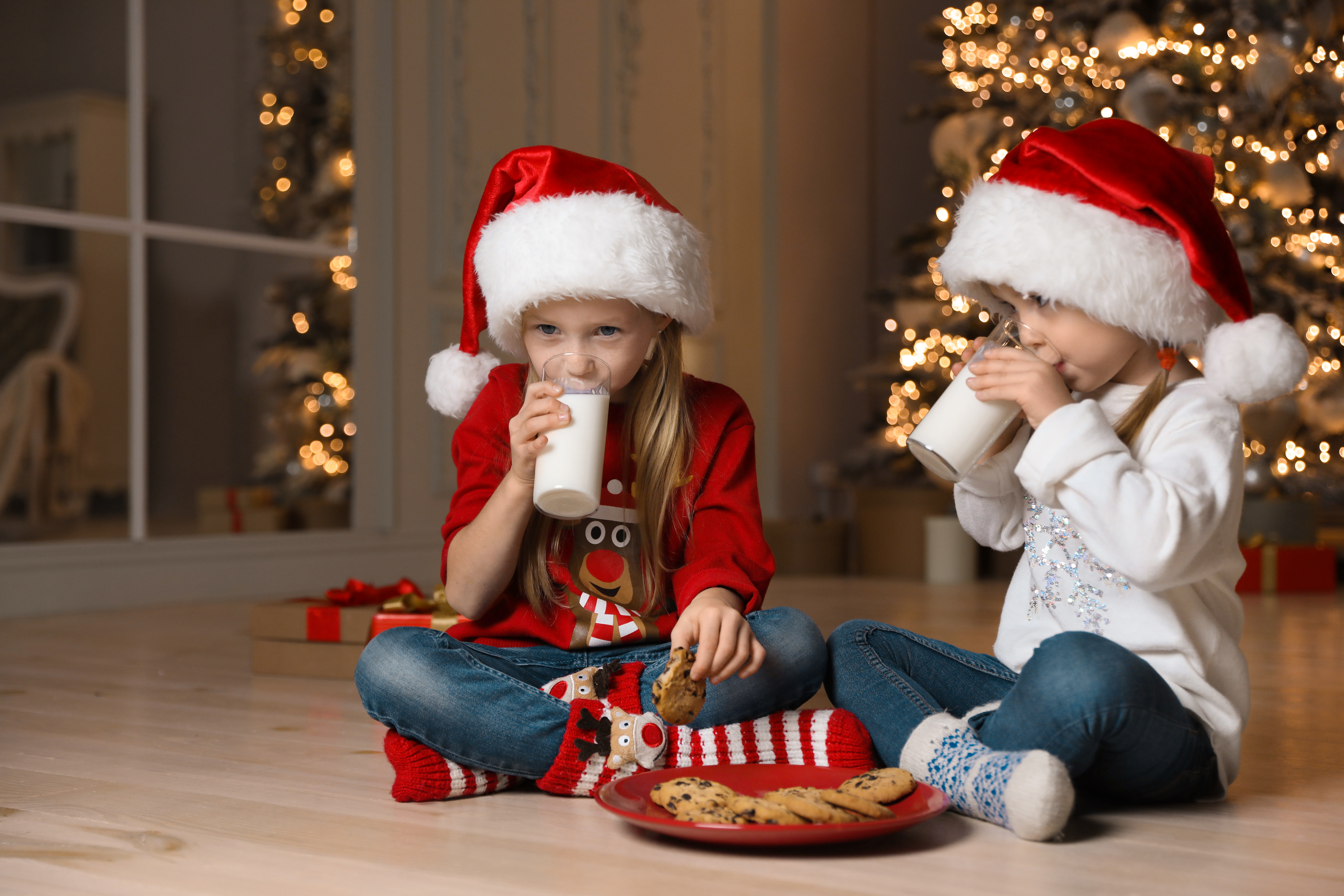 Feliz Natal e um Próspero Ano Novo - Boas Festas!
