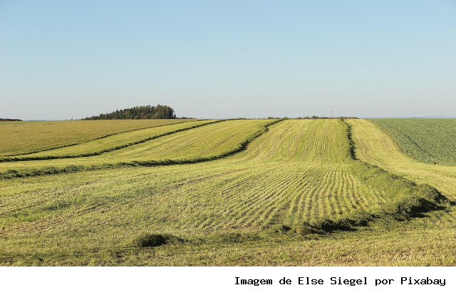 Congresso tenta recriar PL do Licenciamento Ambiental com emendas