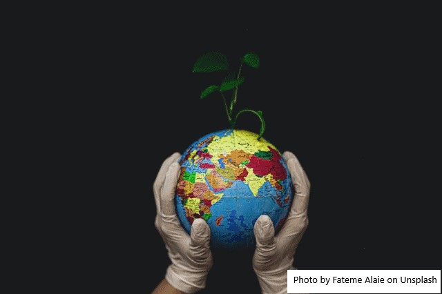 Argentina tem potencial para liderar a produção mundial de alimentos biofortificados