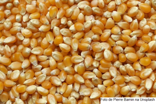 Trabalho contínuo na Embrapa Milho e Sorgo é premiado pela Abrapós
