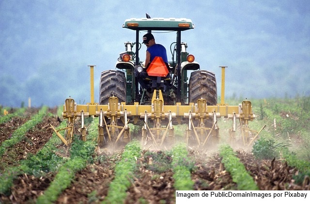 Investimentos do Governo resultam em crescimento de 190% no valor bruto da produção agrícola