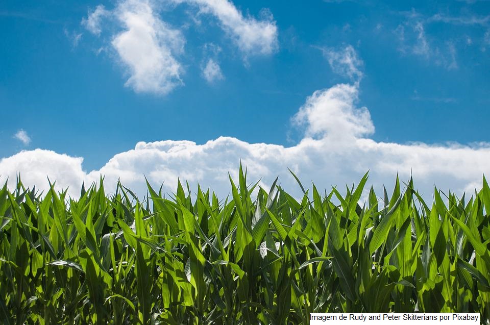 Sistemas de patrimônio agrícola tradicionais são tema de conferência mundial