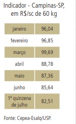 Milho: Preços chegam ao menor patamar do ano em algumas regiões