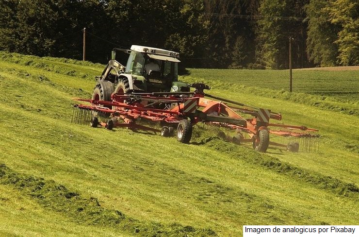 Monitoramento Agrícola – Chuvas volumosas seguem favorecendo cultivos no centro-norte do país
