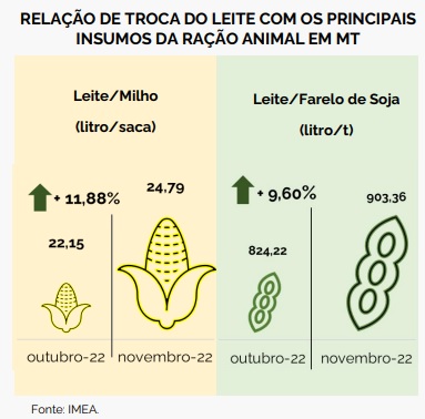 Preço pago ao produtor tem recuo de 8.61% em MT