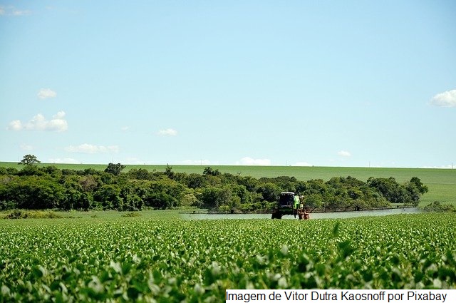 USDA reporta vendas semanais de soja e milho dentro das expectativas do mercado